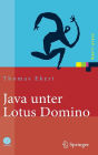 Java unter Lotus Domino: Know-how fï¿½r die Anwendungsentwicklung