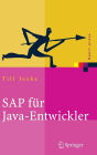 SAP fï¿½r Java-Entwickler: Konzepte, Schnittstellen, Technologien
