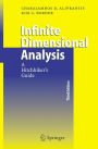 Infinite Dimensional Analysis: A Hitchhiker's Guide / Edition 3