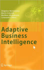 Adaptive Business Intelligence