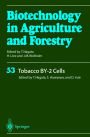 Tobacco BY-2 Cells