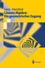 Lineare Algebra: Ein geometrischer Zugang / Edition 1