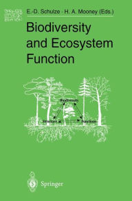 Title: Biodiversity and Ecosystem Function / Edition 1, Author: Ernst-Detlef Schulze