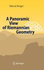 Alternative view 2 of A Panoramic View of Riemannian Geometry / Edition 1