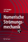 Numerische Strömungsmechanik / Edition 1