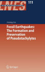 Fossil Earthquakes: The Formation and Preservation of Pseudotachylytes / Edition 1