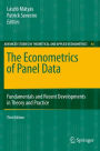 The Econometrics of Panel Data: Fundamentals and Recent Developments in Theory and Practice
