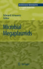 Microbial Megaplasmids / Edition 1
