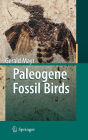 Paleogene Fossil Birds / Edition 1