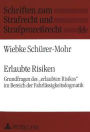 Erlaubte Risiken: Grundfragen des