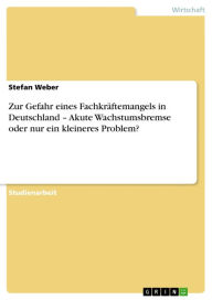 Title: Zur Gefahr eines Fachkräftemangels in Deutschland - Akute Wachstumsbremse oder nur ein kleineres Problem?: Akute Wachstumsbremse oder nur ein kleineres Problem?, Author: Stefan Weber