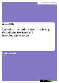 Title: Die Volkswirtschaftliche Gesamtrechnung. Grundlagen, Probleme und Berechnungsmethoden, Author: Andre Hiller