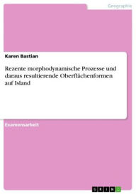 Title: Rezente morphodynamische Prozesse und daraus resultierende Oberflächenformen auf Island, Author: Karen Bastian