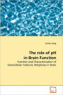 The Role Of Ph In Brain Function