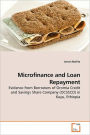 Microfinance And Loan Repayment