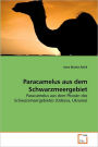Paracamelus Aus Dem Schwarzmeergebiet