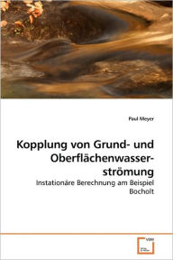 Title: Kopplung von Grund- und Oberflächenwasserströmung, Author: Paul Meyer