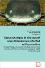 Tissue Changes In The Gut Of Arius Thalassinus Infected With Parasites