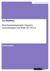 Title: Ilisu-Staudammprojekt: Negative Auswirkungen und Rolle der NGOs, Author: Can Büyükbay