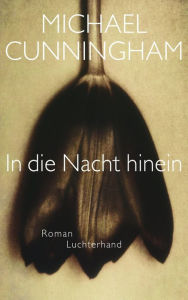 Title: In die Nacht hinein: Roman, Author: Michael Cunningham
