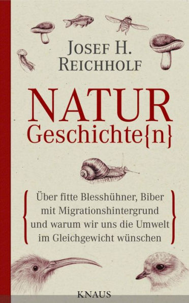 Naturgeschichte(n): Über fitte Blesshühner, Biber mit Migrationshintergrund und warum wir uns die Umwelt im Gleichgewicht wünschen