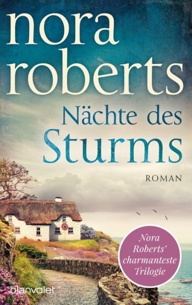 Nächte des Sturms: Roman