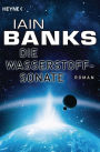 Die Wasserstoffsonate: Roman