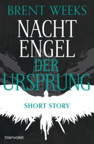Title: Nachtengel - Der Ursprung: Kurzgeschichte - Wie alles begann: Die Vorgeschichte zur berühmten Nightangel-Saga, Author: Brent Weeks
