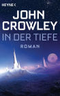 In der Tiefe: Roman