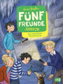 Fünf Freunde JUNIOR - Die rätselhafte Flaschenpost: Für Leseanfänger ab 7 Jahren