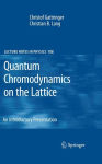 Alternative view 1 of Quantum Chromodynamics on the Lattice: An Introductory Presentation