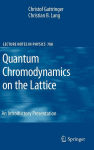 Alternative view 2 of Quantum Chromodynamics on the Lattice: An Introductory Presentation