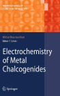 Electrochemistry of Metal Chalcogenides / Edition 1