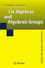 Lie Algebras and Algebraic Groups / Edition 1