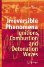 Irreversible Phenomena: Ignitions, Combustion and Detonation Waves