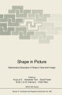 Shape in Picture: Mathematical Description of Shape in Grey-level Images / Edition 1