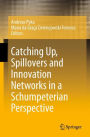 Catching Up, Spillovers and Innovation Networks in a Schumpeterian Perspective