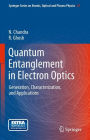 Quantum Entanglement in Electron Optics: Generation, Characterization, and Applications
