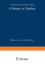 A History of Algebra: From al-Khwarizmi to Emmy Noether