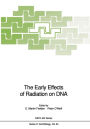 The Early Effects of Radiation on DNA