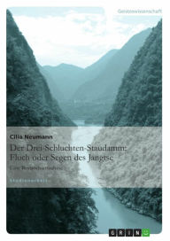 Title: Der Drei-Schluchten-Staudamm: Fluch oder Segen des Jangtse: Eine Bestandsaufnahme, Author: Cilia Neumann