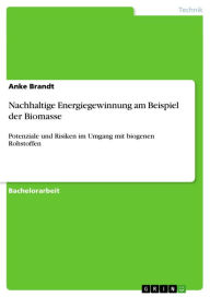 Title: Nachhaltige Energiegewinnung am Beispiel der Biomasse: Potenziale und Risiken im Umgang mit biogenen Rohstoffen, Author: Anke Brandt
