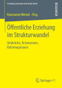 Öffentliche Erziehung im Strukturwandel: Umbrüche, Krisenzonen, Reformoptionen