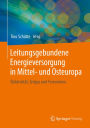 Leitungsgebundene Energieversorgung in Mittel- und Osteuropa: Elektrizität, Erdgas und Fernwärme