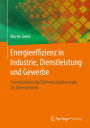 Energieeffizienz in Industrie, Dienstleistung und Gewerbe: Energietechnische Optimierungskonzepte für Unternehmen