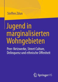 Title: Jugend in marginalisierten Wohngebieten: Peer-Netzwerke, Street Culture, Delinquenz und ethnische Offenheit, Author: Steffen Zdun