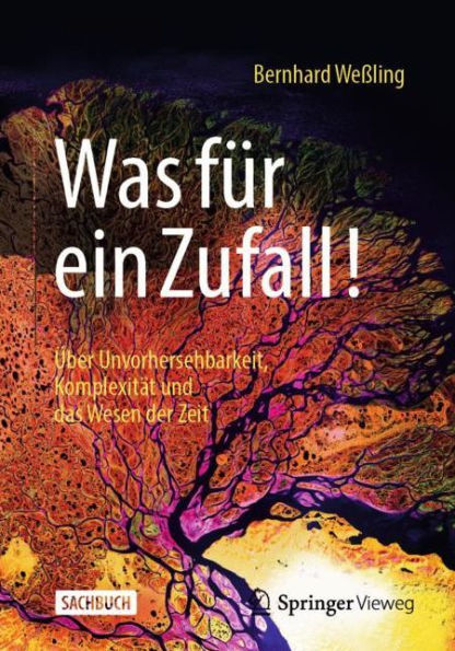 Was für ein Zufall!: Über Unvorhersehbarkeit, Komplexität und das Wesen der Zeit