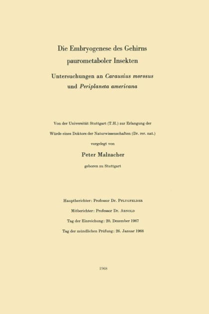 Die Embryogenese Des Gehirns Paurometaboler Insekten