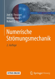 Title: Numerische Strömungsmechanik, Author: Joel H. Ferziger