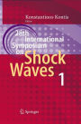 28th International Symposium on Shock Waves: Vol 1
